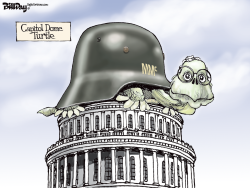 CAPITOL DOME TURTLE    by Bill Day