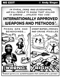 APPROVED WEAPONS AND METHODS OF KILLING by Andy Singer
