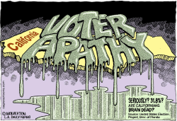 LOCAL-CA VOTER APATHY  by Monte Wolverton