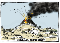 JERUSALEM TEMPLE MOUNT by Tom Janssen