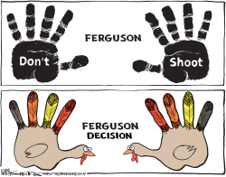 FERGUSON DECISION by Kevin Siers