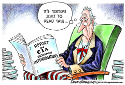 CIA TORTURE REPORT by Dave Granlund