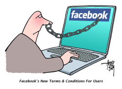 FACEBOOK TERMS AND CONDITIONS by Arend Van Dam