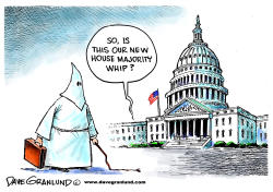 HOUSE MAJORITY WHIP 2015 by Dave Granlund