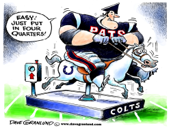 PATRIOTS RIDE COLTS by Dave Granlund