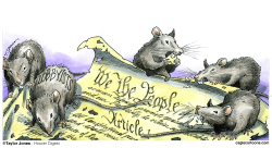 WE THE RODENTS -  by Taylor Jones