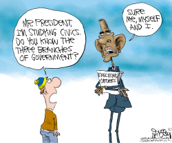 OBAMA'S 3 BRANCHES OF GOVT  by Gary McCoy