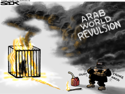 ISIS FLAMEOUT  by Steve Sack