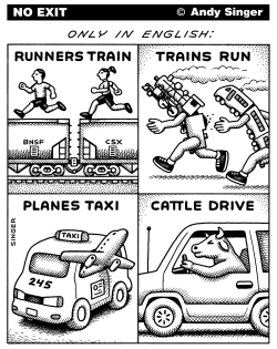 STRANGE ENGLISH LANGUAGE EXPRESSIONS by Andy Singer
