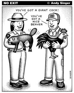 COCK AND BEAVER by Andy Singer