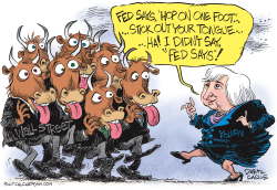 JANET YELLEN - THE FED AND WALL STREET  by Daryl Cagle