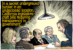 LOCAL-CA SUNSHINE LAWS  by Monte Wolverton