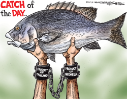 CATCH OF THE DAY by Kevin Siers