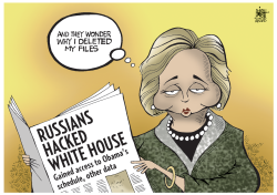 HACKERS AND HILLARY,  by Randy Bish