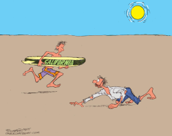 SURF'S UP  by Bill Schorr
