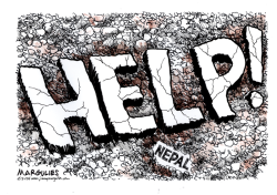 EARTHQUAKE IN NEPAL  by Jimmy Margulies