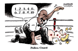 POLLEN COUNT  by Jimmy Margulies