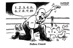 POLLEN COUNT by Jimmy Margulies