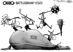 LOCAL OH - VOTING DEAD HORSE by Nate Beeler
