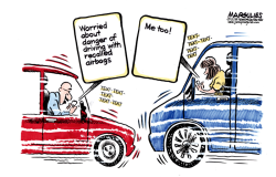 AIRBAG RECALL  by Jimmy Margulies