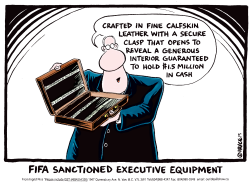 FIFA SANCTIONED EXECUTIVE EQUIPMENT by Ingrid Rice