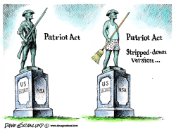 PATRIOT ACT STRIPPED DOWN by Dave Granlund