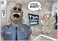 TSA AIRPORT SECURITY,  by Randy Bish