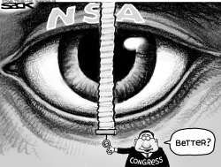 NSA LIMITS  by Steve Sack