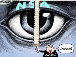 LIMITES A LA NSA /  by Steve Sack