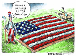 PATRIOTISM AND FLAG DAY by Dave Granlund