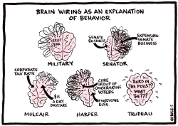 BRAIN WIRING AS AN EXPLANATION by Ingrid Rice