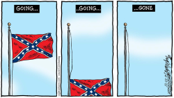 CONFEDERATE FLAG COMES DOWN by Bob Englehart