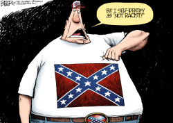 CONFEDERATE FLAG  by Nate Beeler