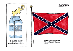 CONFEDERATE FLAG  by Jimmy Margulies