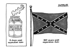 CONFEDERATE FLAG by Jimmy Margulies