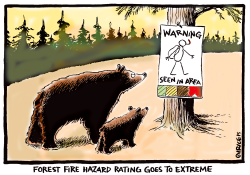 FOREST FIRE HAZARD RATING by Steve Nease