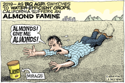 LOCAL-CA DROUGHT AND ALMONDS  by Monte Wolverton