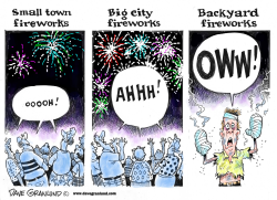 FIREWORKS REACTIONS by Dave Granlund