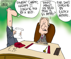 CHAFEE'S METRIC SYSTEM  by Gary McCoy