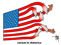 RACISM IN USA by Arend Van Dam