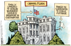OBAMA FLAGS  by Rick McKee