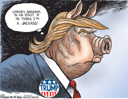 DONALD JACKASS by Kevin Siers