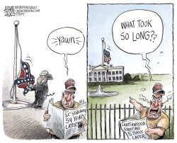 LOWERED FLAGS  by Adam Zyglis
