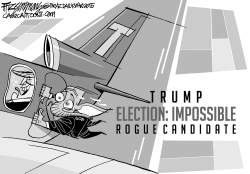 ELECTIONIMPOSS- IBLE by David Fitzsimmons