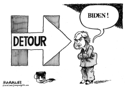 BIDEN MAY RUN FOR PRESIDENT by Jimmy Margulies