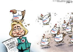 HILLARY CHICKENS  by Nate Beeler