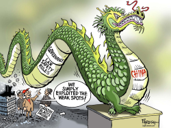 CHINA SAFETY RULES by Paresh Nath