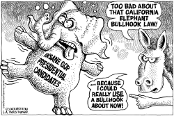 LOCAL-CA BULLHOOKS AND BALLOTS by Monte Wolverton