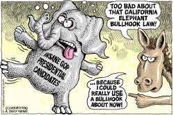 LOCAL-CA BULLHOOKS AND BALLOTS  by Monte Wolverton