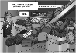 CONGRESSIONAL BAGGAGE CLAIM by R.J. Matson